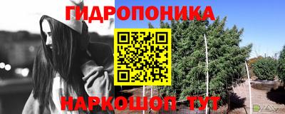 МДПВ Краснознаменск