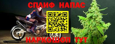 прущие крисы Краснодар