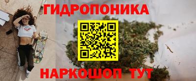 МДПВ Краснознаменск