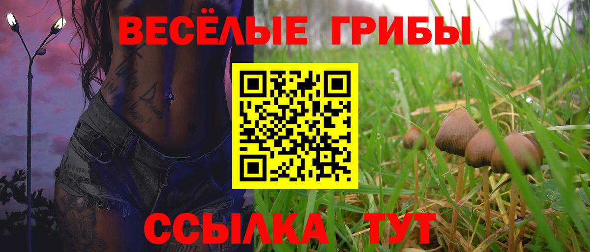 Псилоцибиновые грибы GOLDEN TEACHER  как найти закладки  Вход с VPN  Шахты  Псилоцибиновые грибы GOLDEN TEACHER 