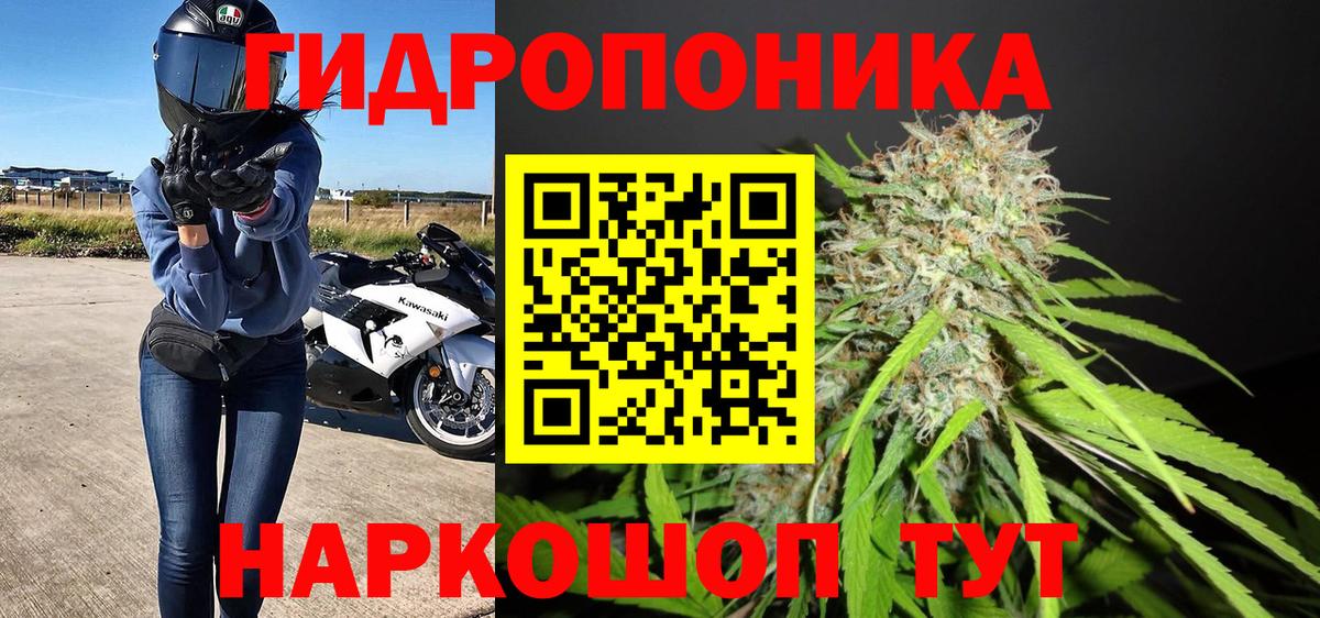 Шахты  МАРИХУАНА Bruce Banner  Вход с VPN  Канабис Bruce Banner  Каннабис Bruce Banner 